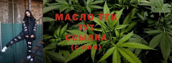 мдпв Богданович