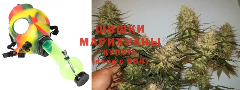 где продают   Пудож  МАРИХУАНА ГИДРОПОН 